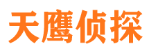 乡城侦探公司